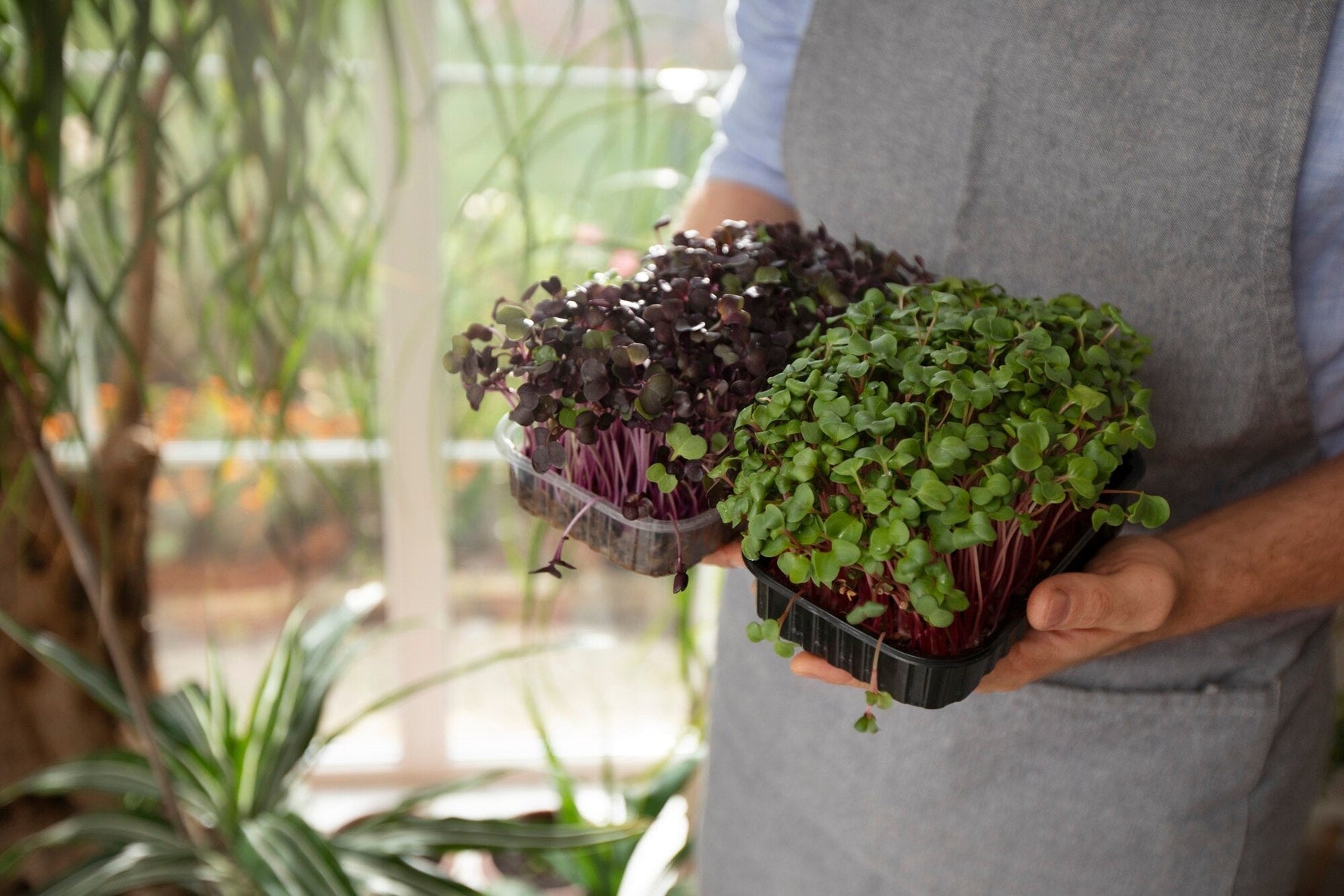 Welkom bij Solgreens – Waar Smaak, Gezondheid en Duurzaamheid Samenkomen