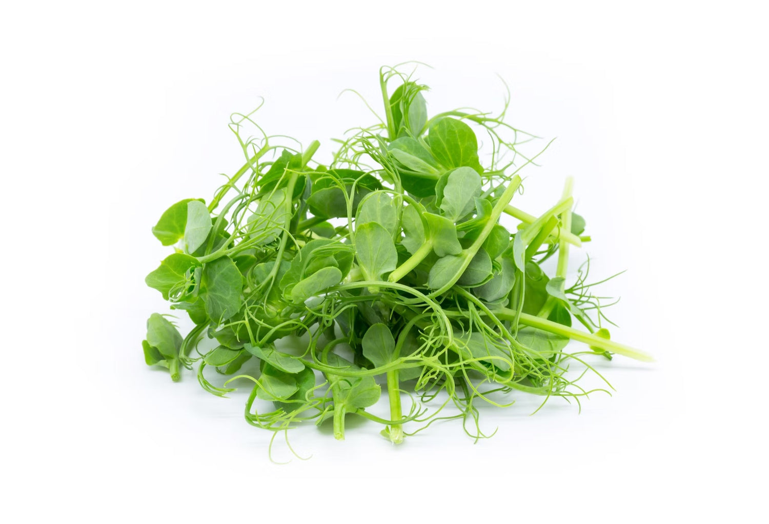 Pretty Peas Microgreens –   Zoet, Knapperig