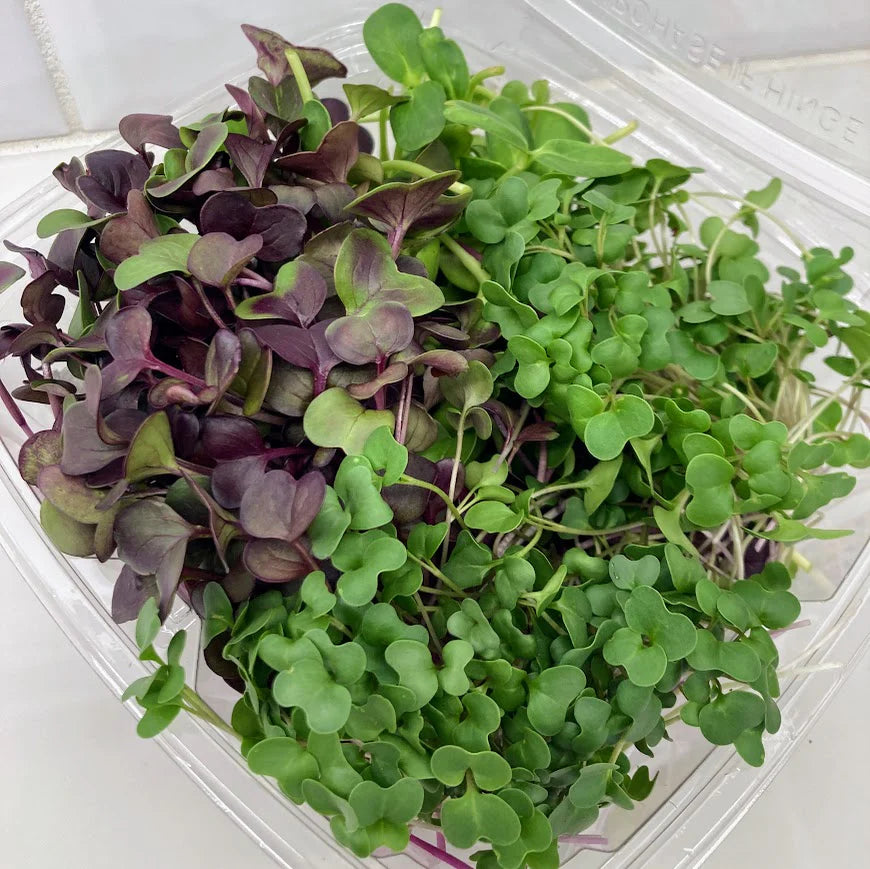 Solgreens mix Microgreens - Abonnement